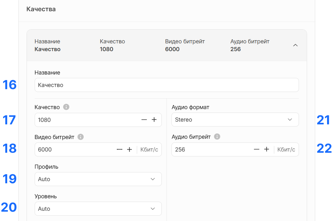 Пресеты. Задать кастомные настройки транскодирования (Beta)